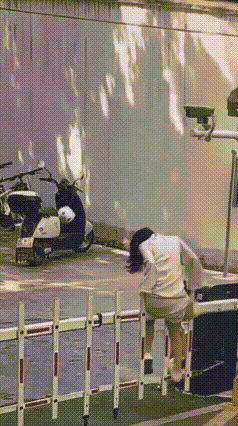 如果说以前这位小姐姐把自己挂道闸上起起落落，是自找的，那么3月19日江苏这只泰迪