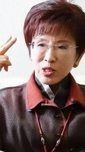 嘴上都提统一，洪秀柱与郑丽文，根本不是同一类人
 
提到国民党内主张统一的女性政