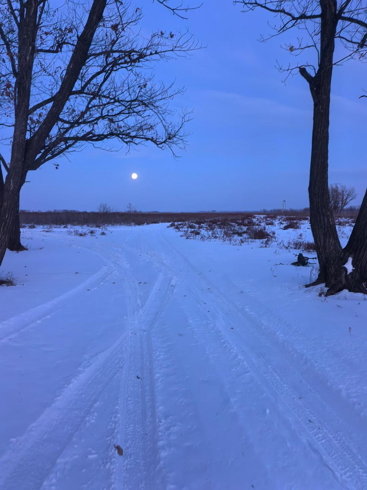 夜色渐明月如勾，雪色皎洁如白昼。