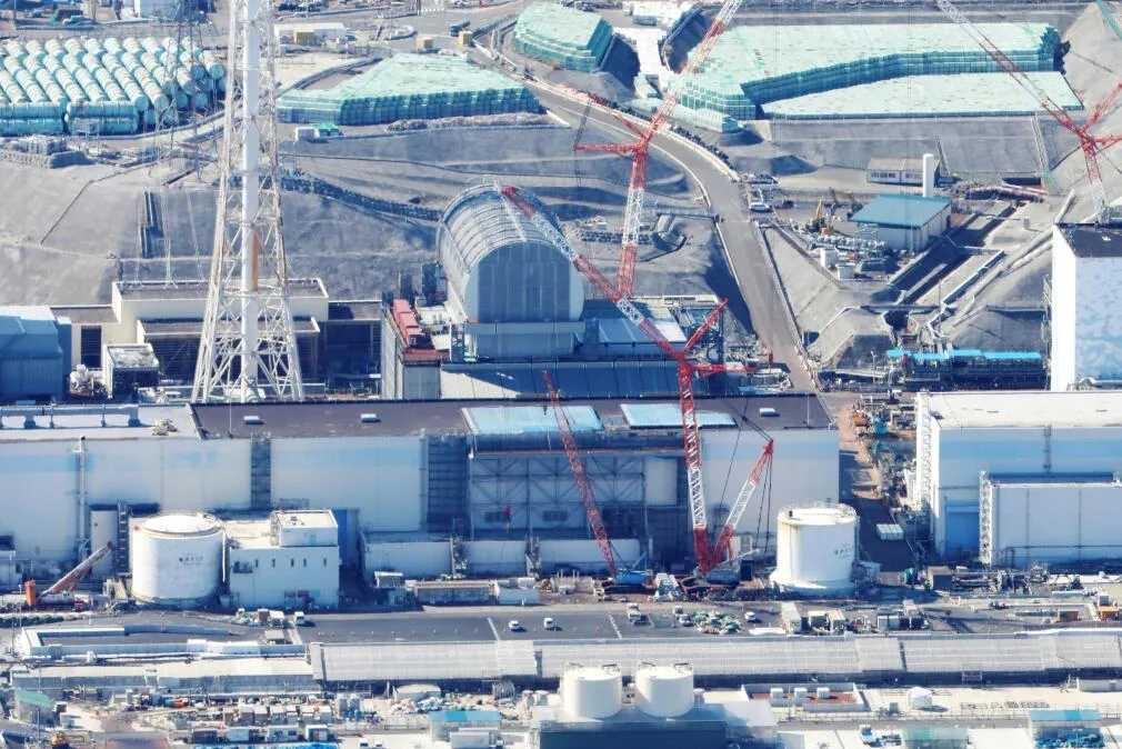 日本拥核野心凸显，​必须掐死摇篮里

环球时报发文警示，​日本右翼正持续释放强烈