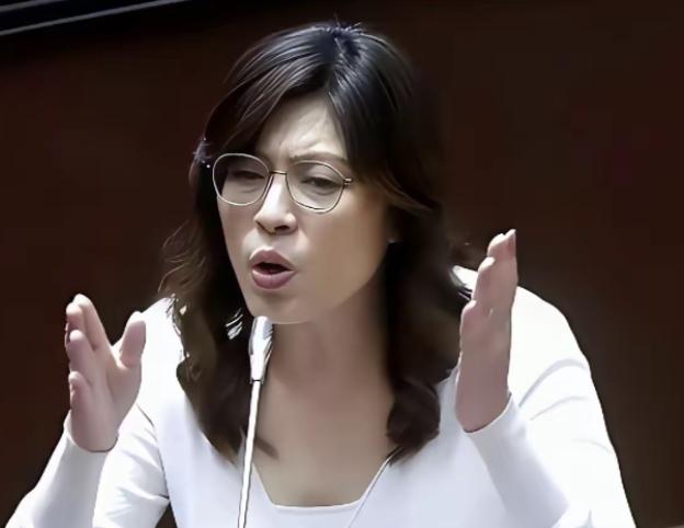 台湾蓝营终于摊牌了！
郑丽文直接公开表明态度，坚决不接受一国两制。

这话从国民