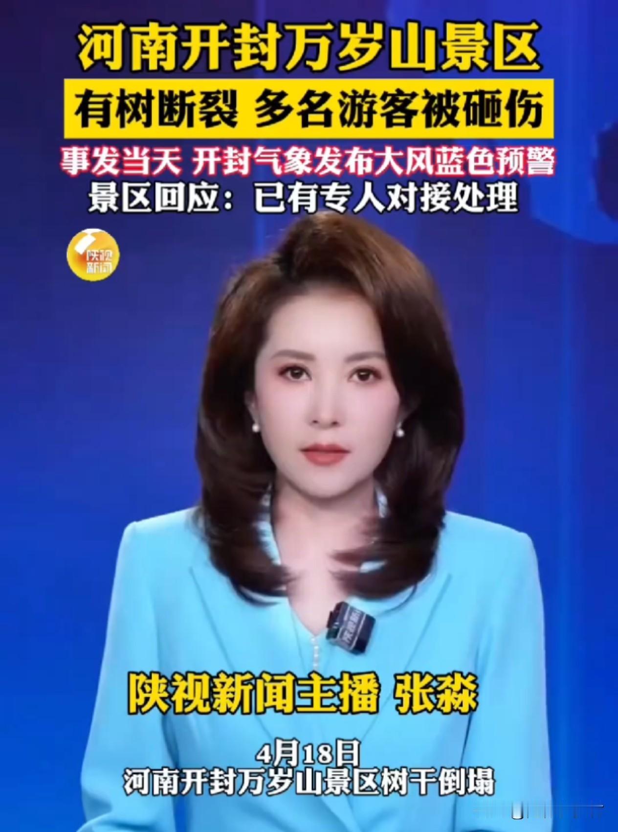 突发！河南开封，一景区内大树树枝被大风吹断，砸中多名游客，现场有人大喊“有没有学