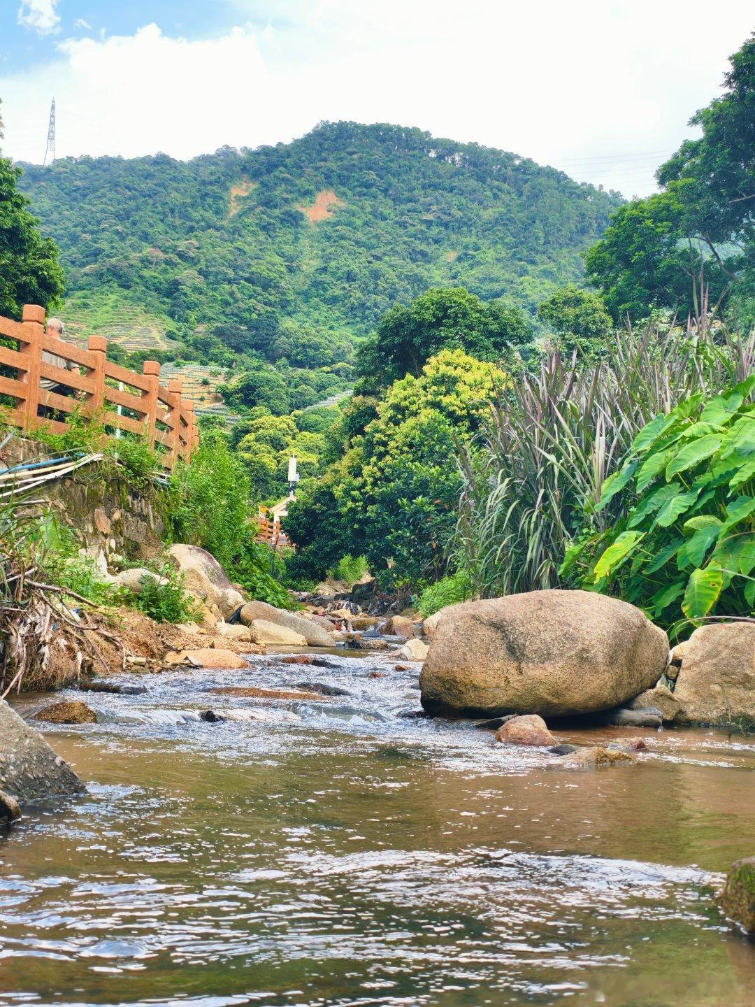 生态中山 暑假尾巴踩踩菠萝的山🍍，风清水凉、果甜人少✔  ​​​