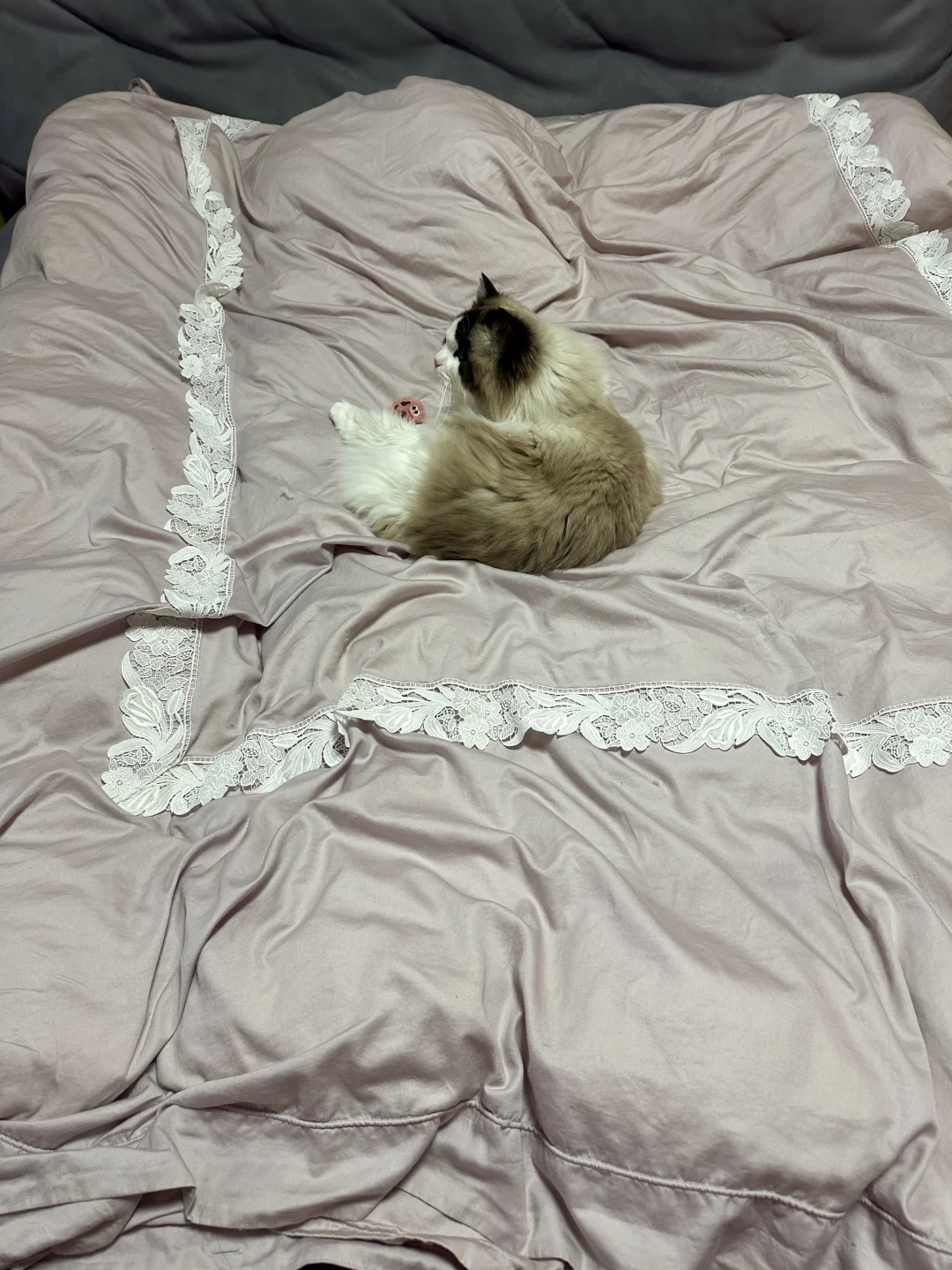 不是不起
