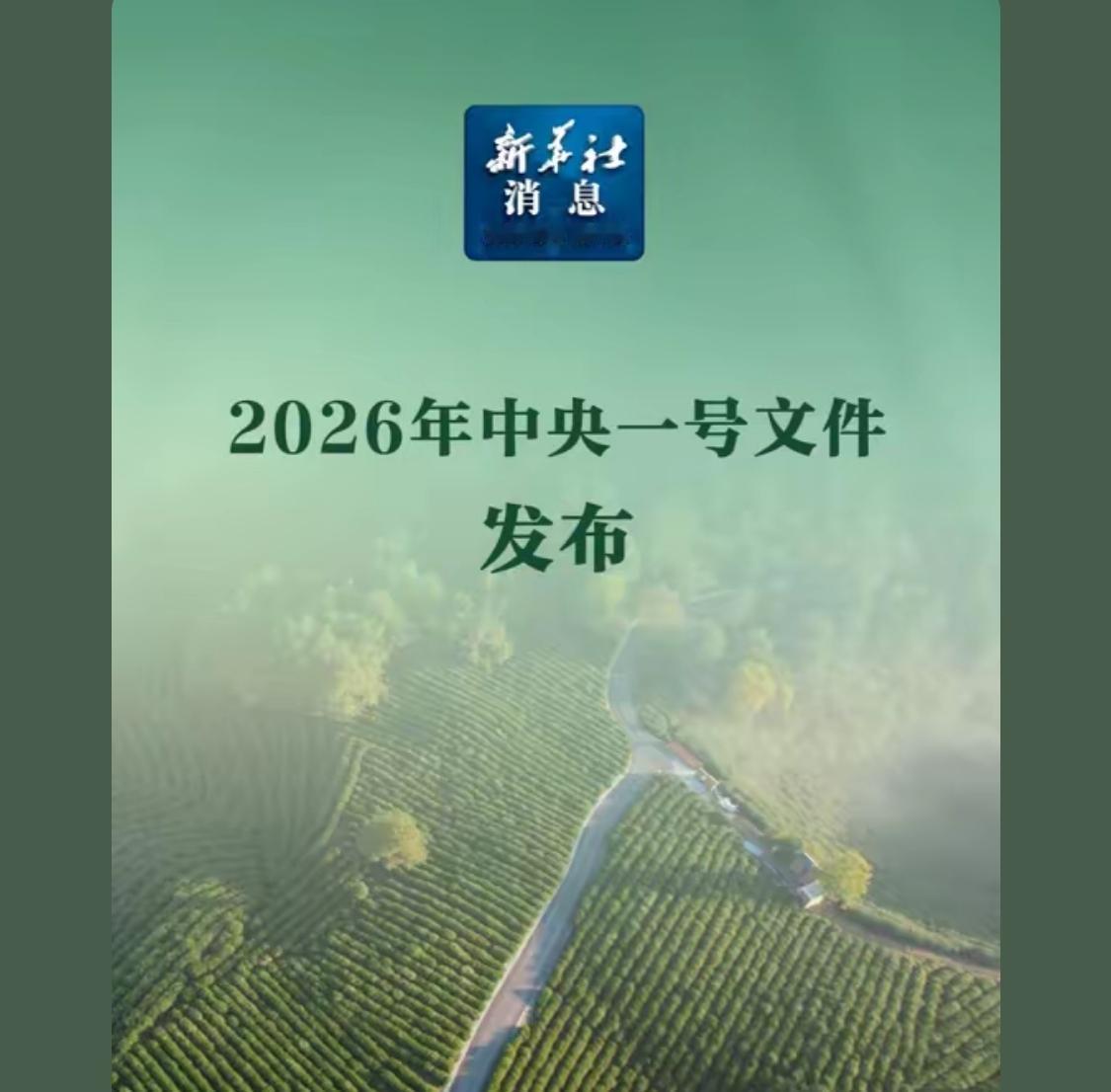 兄弟们，农业是根本。赶紧包地吧！有政策的。这个信息很给力。

 大力发展集镇经济