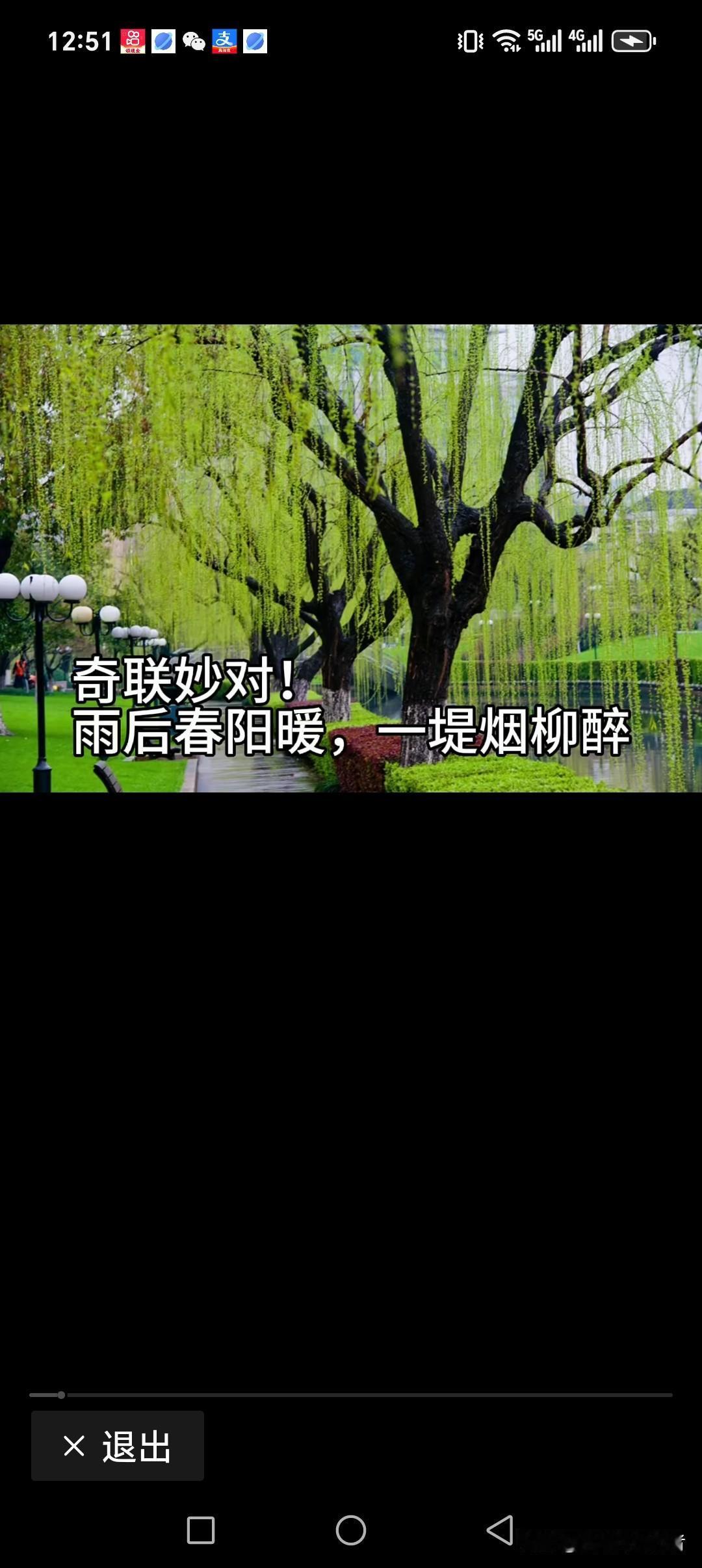 雨后春阳暖，一堤烟柳醉
雪后易为晴，满城春节浓