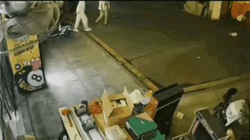 狗子侥幸逃过一劫