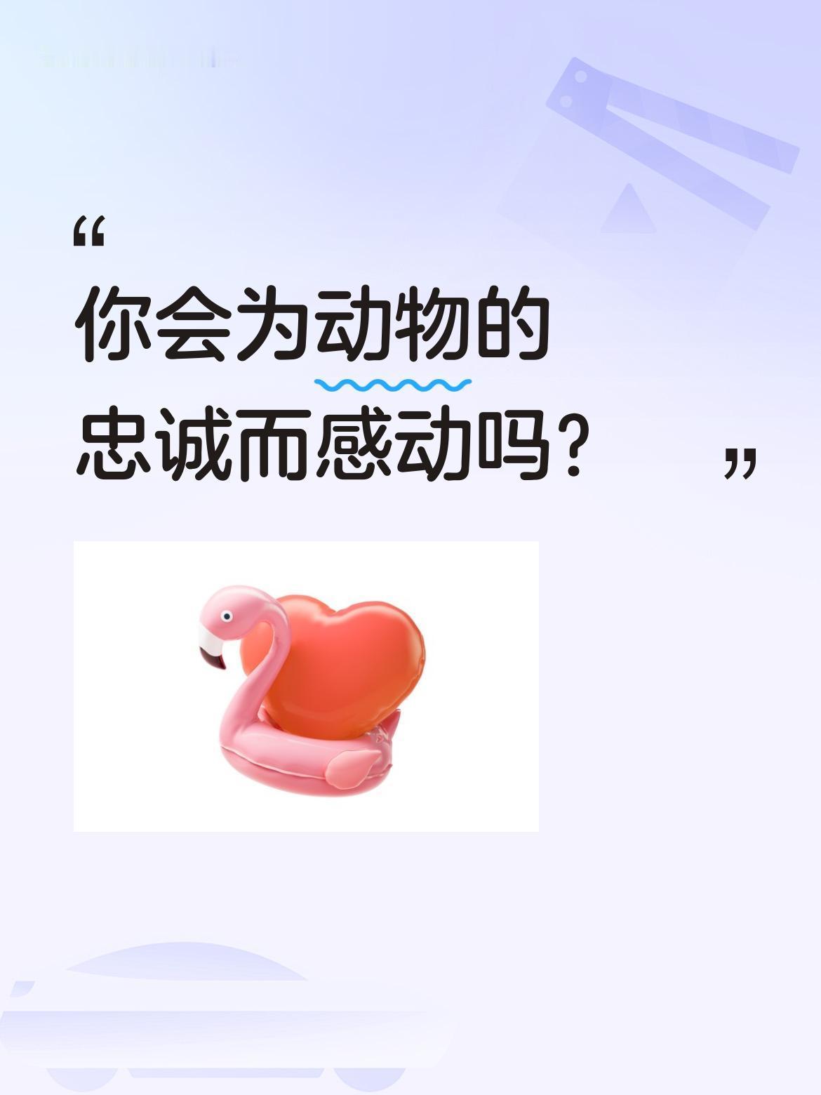 你会为动物的忠诚而感动吗？
最近很多人被一只叫