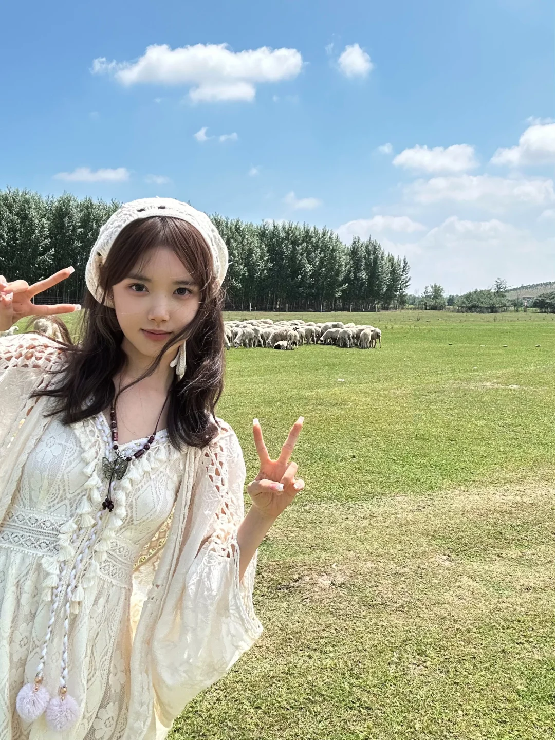 和小🐑