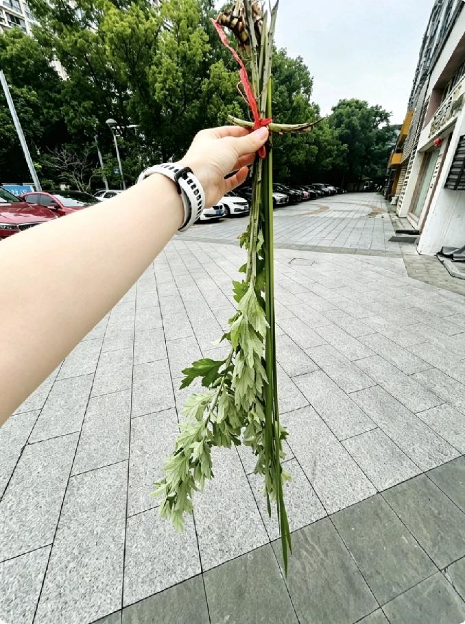 卖菜比上班强啊！

这一捆艾草三块钱，早上还下着小雨已陆陆续续卖了有五六十捆。