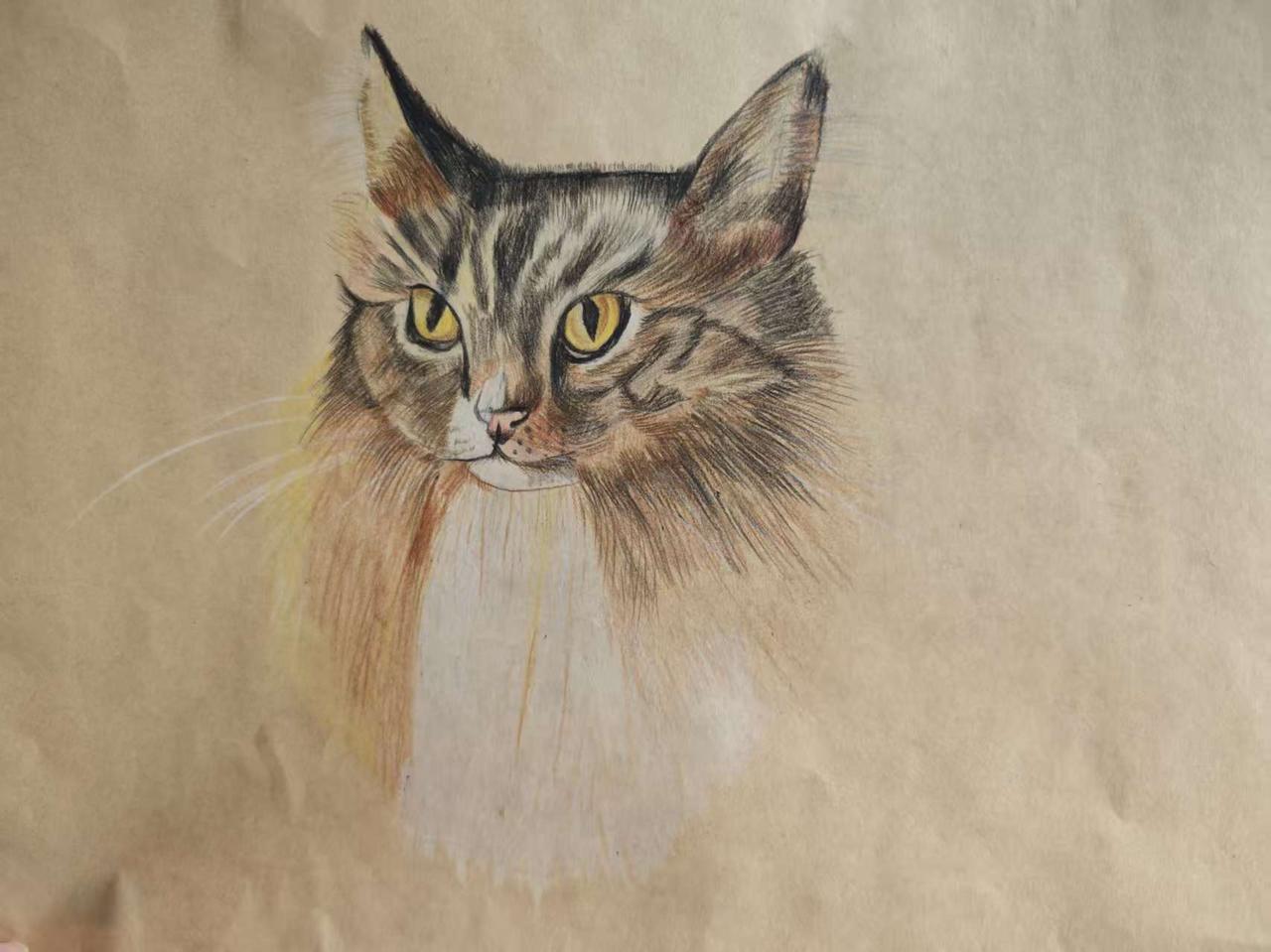 外孙女的绘画水平有所长进。