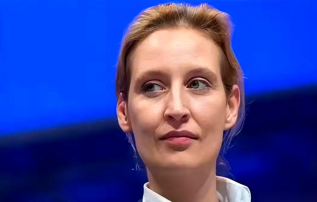 德国一个女政客，叫魏德尔，直接把一个问题砸在全欧洲的脸上：“当年你们骂普京，嗓子