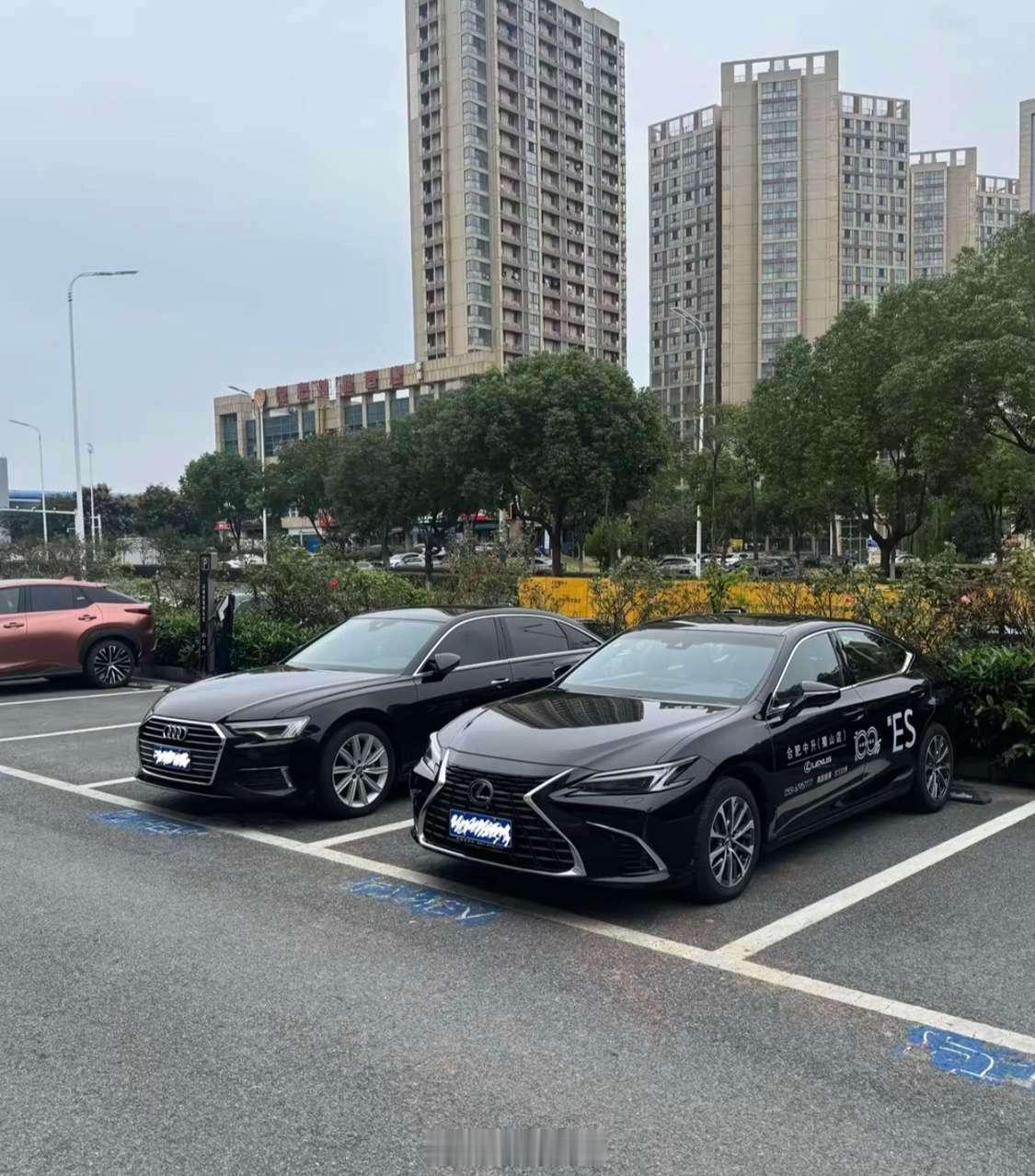 如果有40个，6子和闪电，你会优先选哪个