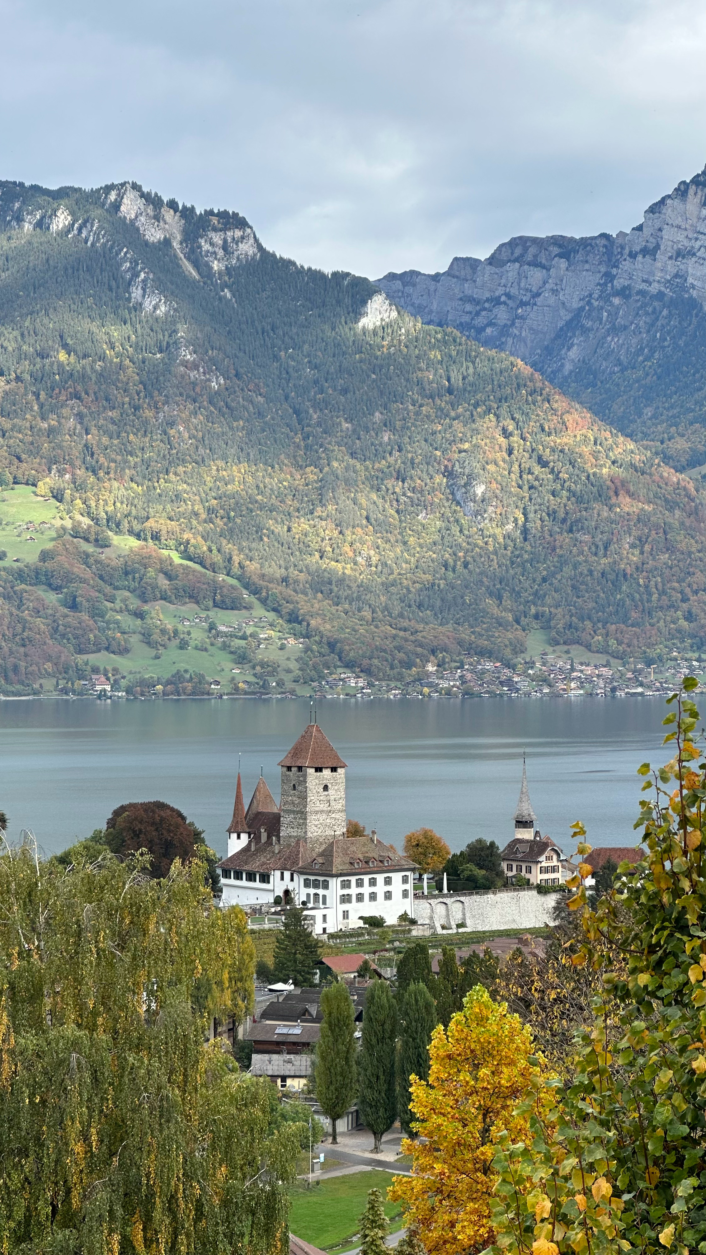 我要被瑞士美s了[泪]  ​​​