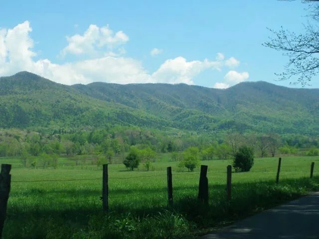 大自然的生命力