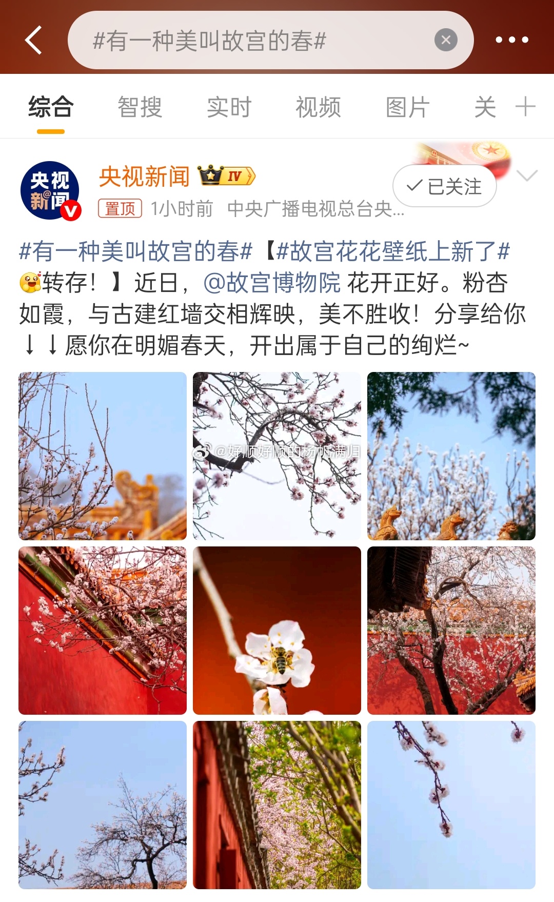 有一种美叫故宫的春春天来了，万花斗艳的季节青砖红墙的承托下，天空格外的蓝加上春花