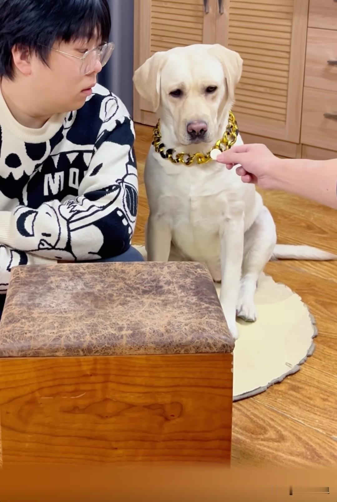 狗狗生病不肯吃药，爸爸便使出调虎离山之计。他先把药拿给儿子，让儿子假装不想吃。爸