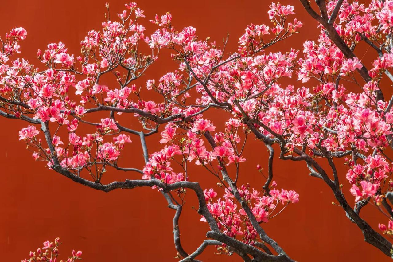 西昌大石板古村。西昌大石板古村