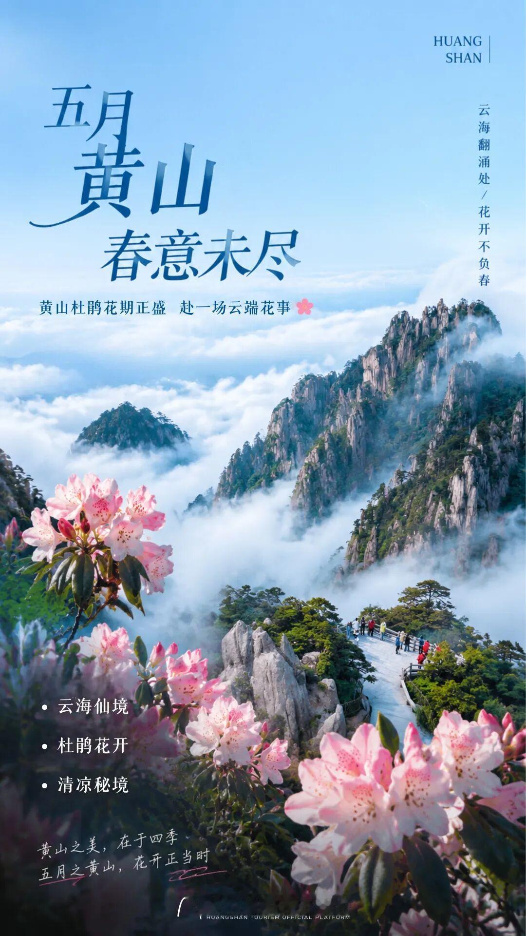 如果五月只能选一个地方出发——我会把这一票投给黄山。

「黄山杜鹃」来自北纬 3