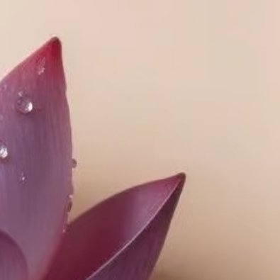 每日一善 深耕沉淀古树不羡流云疾走，静默向下积蓄磅礴力量。深扎时光的根系终撑起冲