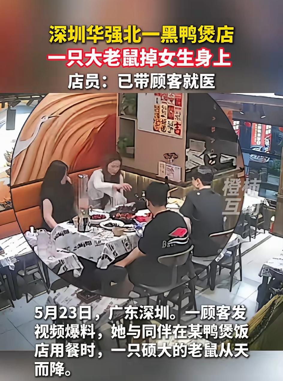 广东深圳一顾客发视频，她与同伴在一家黑鸭煲店，吃饭的时候，一只非常大的老鼠从天花