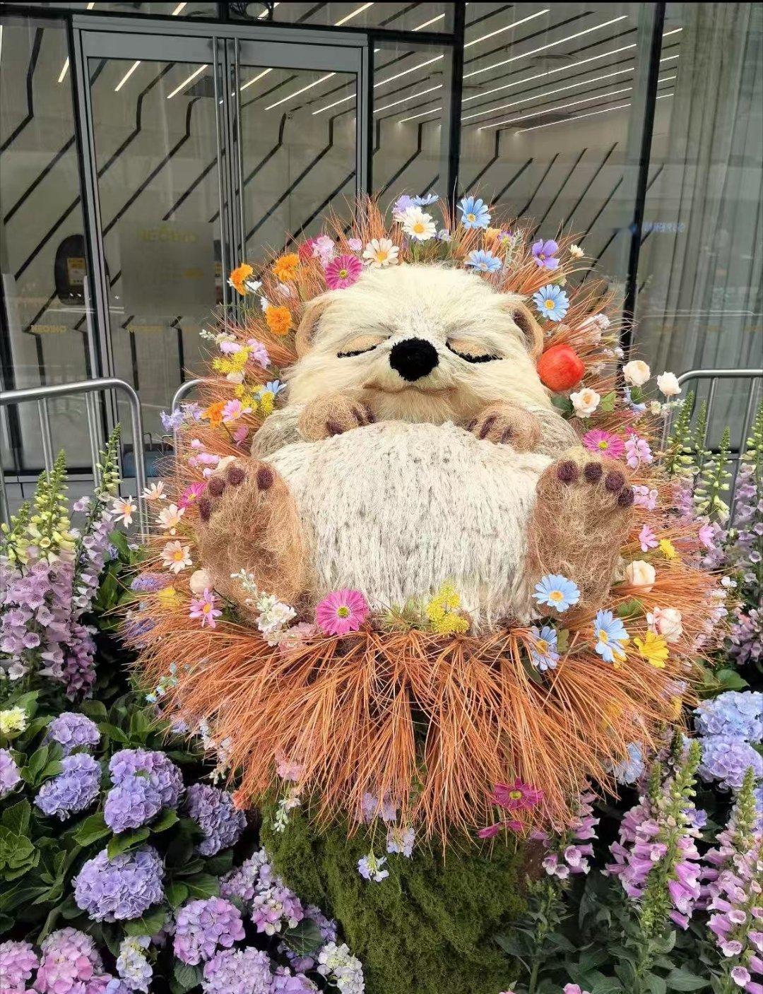 花展最全打卡指南来了 去往这里，到时候现场人虽然是会很多，但我想的就是这种松弛感