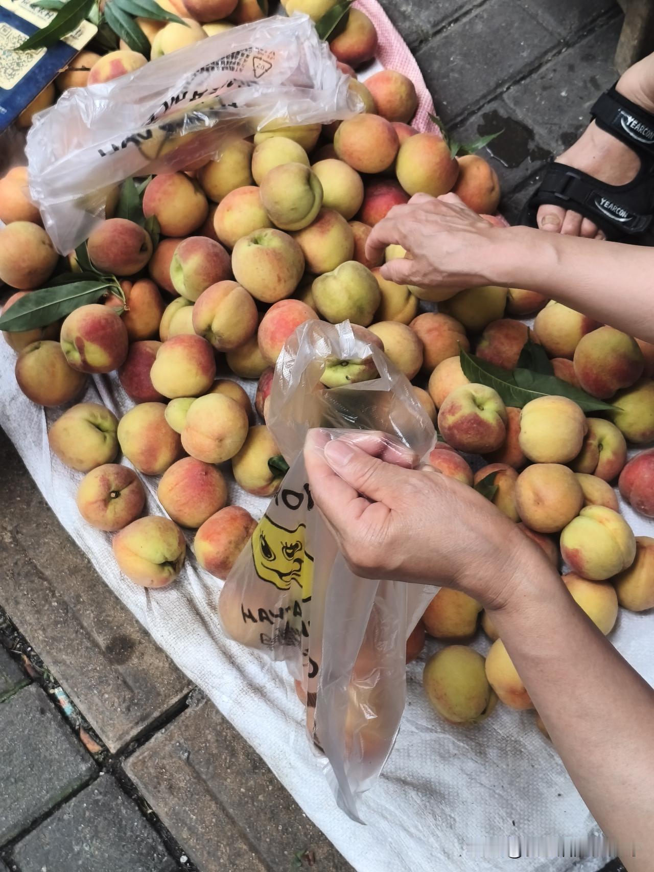 湖北应城，早上和几个朋友一起去潘集采摘黄桃，因为是网上看到的地址一路导航过去的，