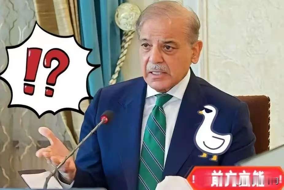 巴基斯坦宣布：加入由特朗普担任主席的“和平委员会”！就在同一天，中国外交部亮明立