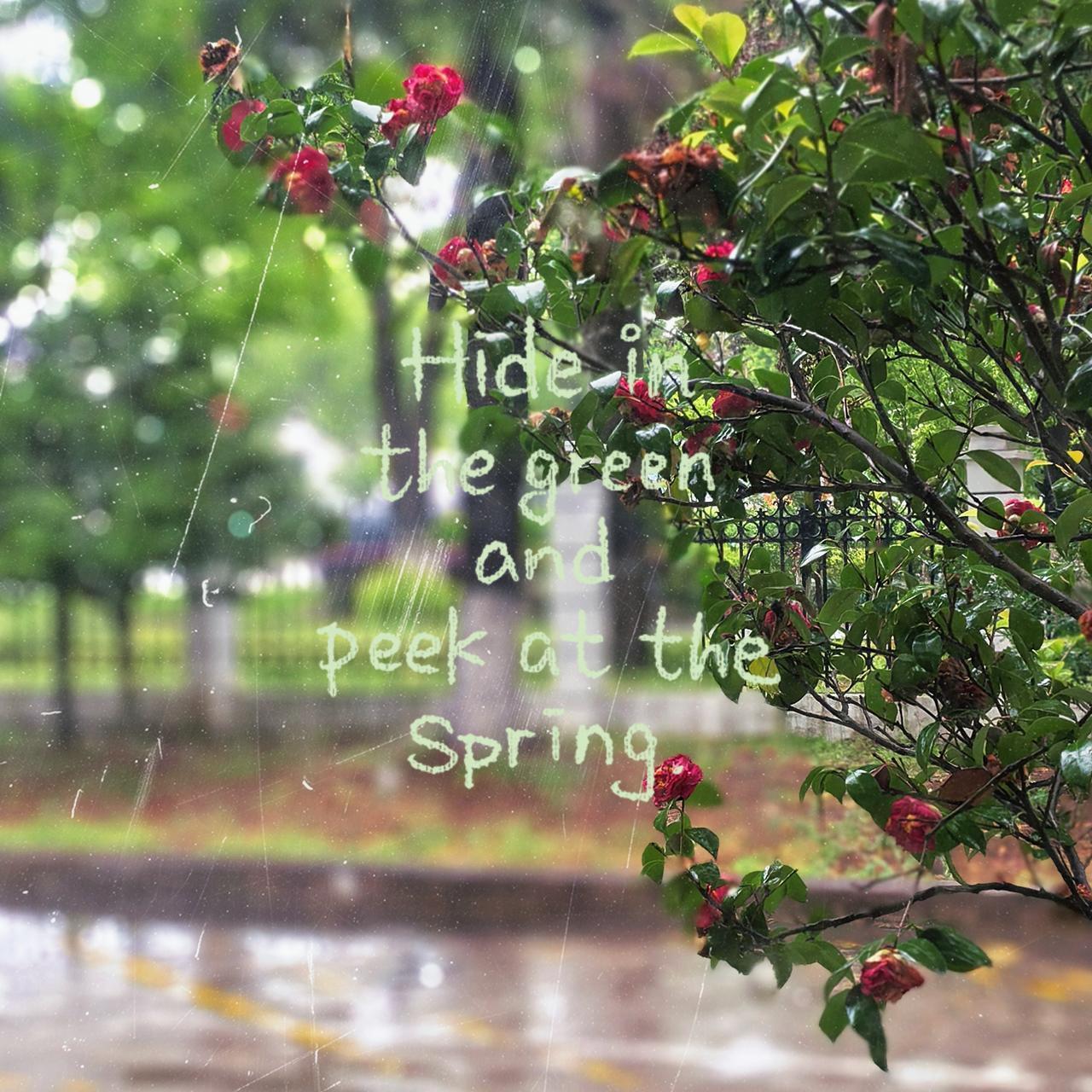 又是雨雨雨的一天，
你有没有被无“雨”到～