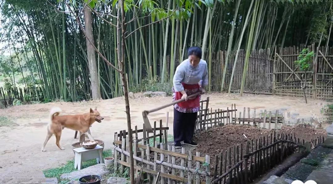 到了一定的年纪后，就突然懂得静而不争，万般随缘了

也懂得把心收回来，放在三餐四