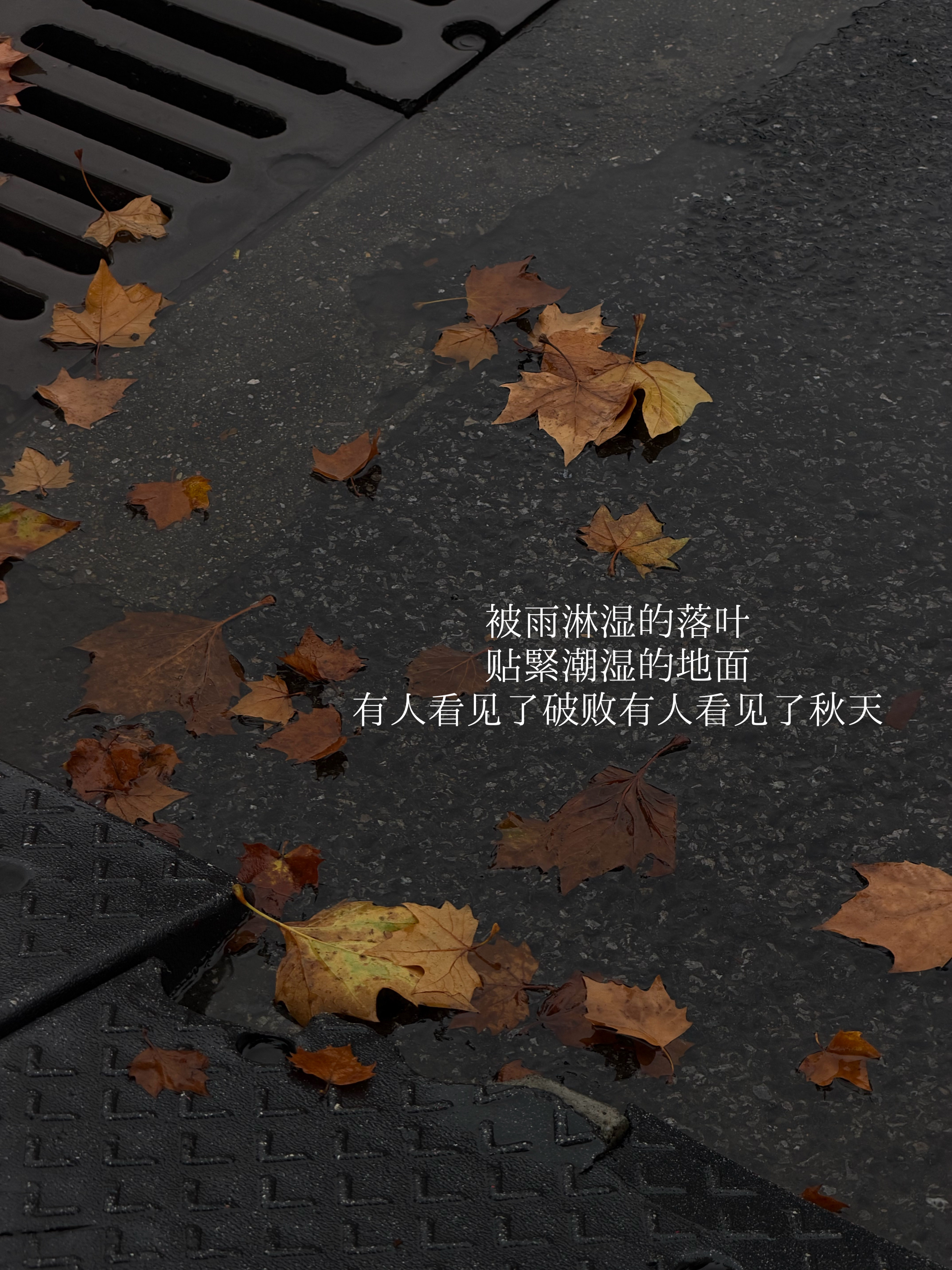 “凉薄秋天真的来了空气中都透着一种莫名其妙疏离感”好在时间是个很大的容器能载满幸