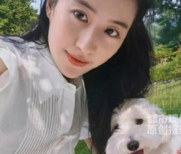2026年7月24日，刘亦菲在社交平台分享了一组和爱犬“哈哈”在自家后院晒太阳的