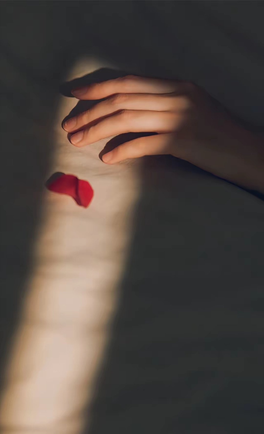 周④了 ​​​