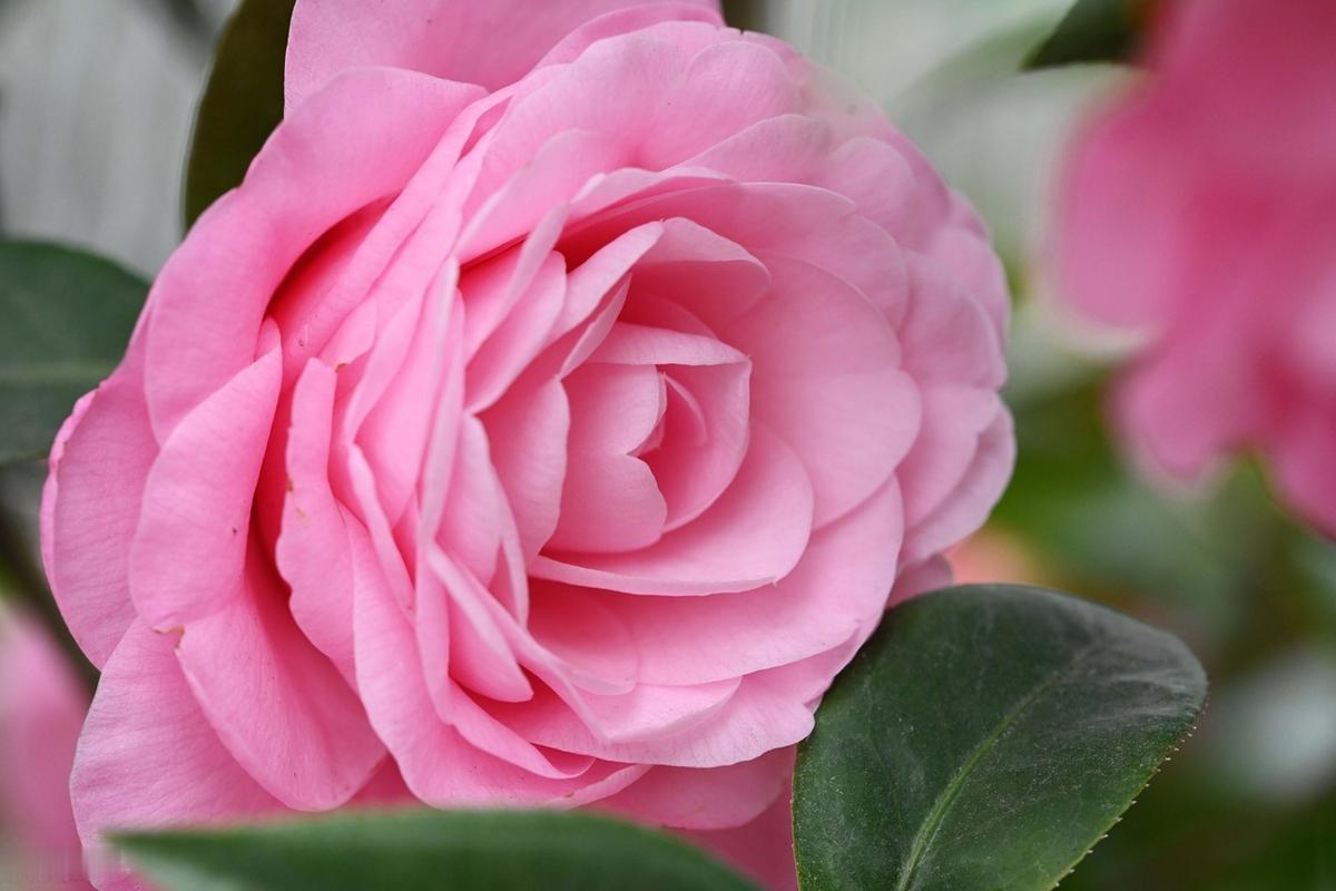 没必要让所有人知道真实的你，或者是你没有必要不停地向人说其实我是一个什么样的人。