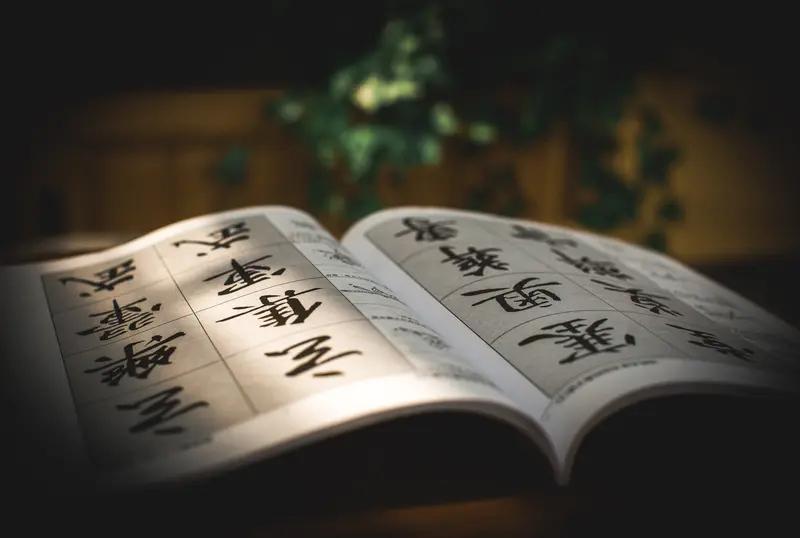 赏几幅读书治学对联送学子：
勤能补拙，志可成器

书到用时方恨少
事非经过不知难