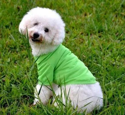 上联：贫在闹市无人问，下联怎么对