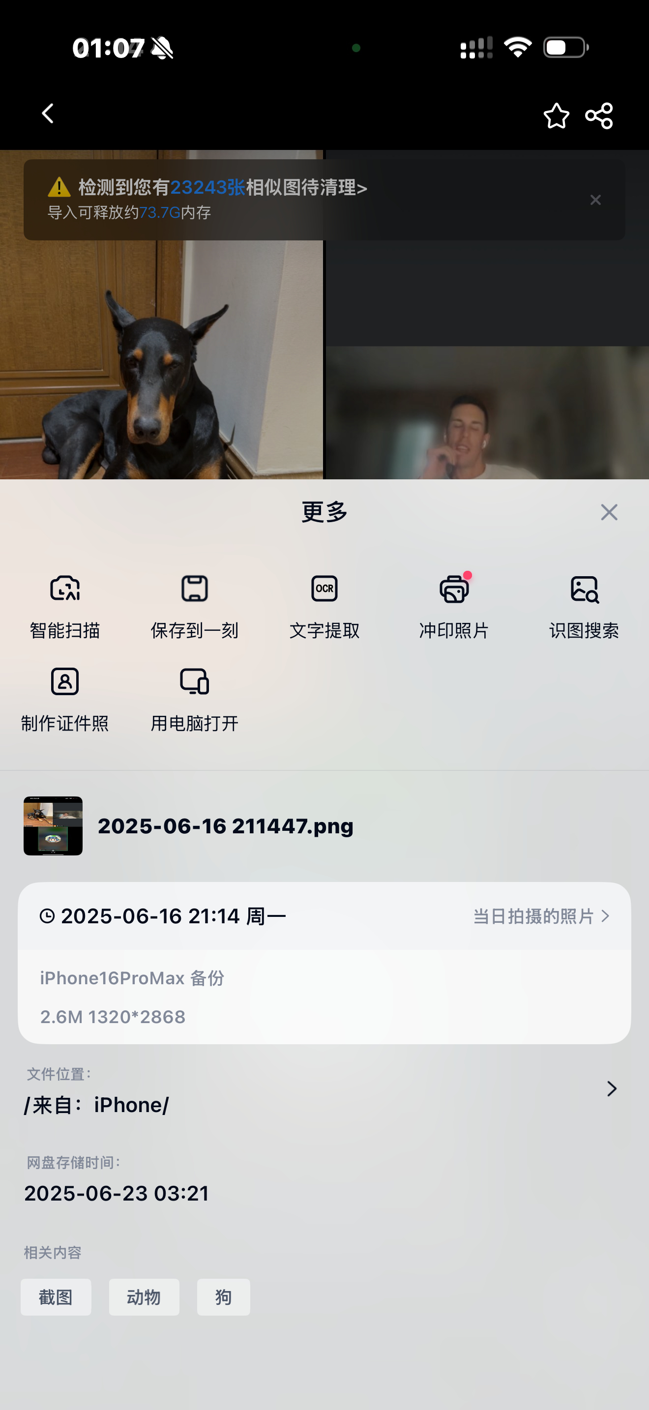 麦扣从2025.6.28第一次切肿瘤到现在一年两个月了说实话已经是奇迹了大家可以