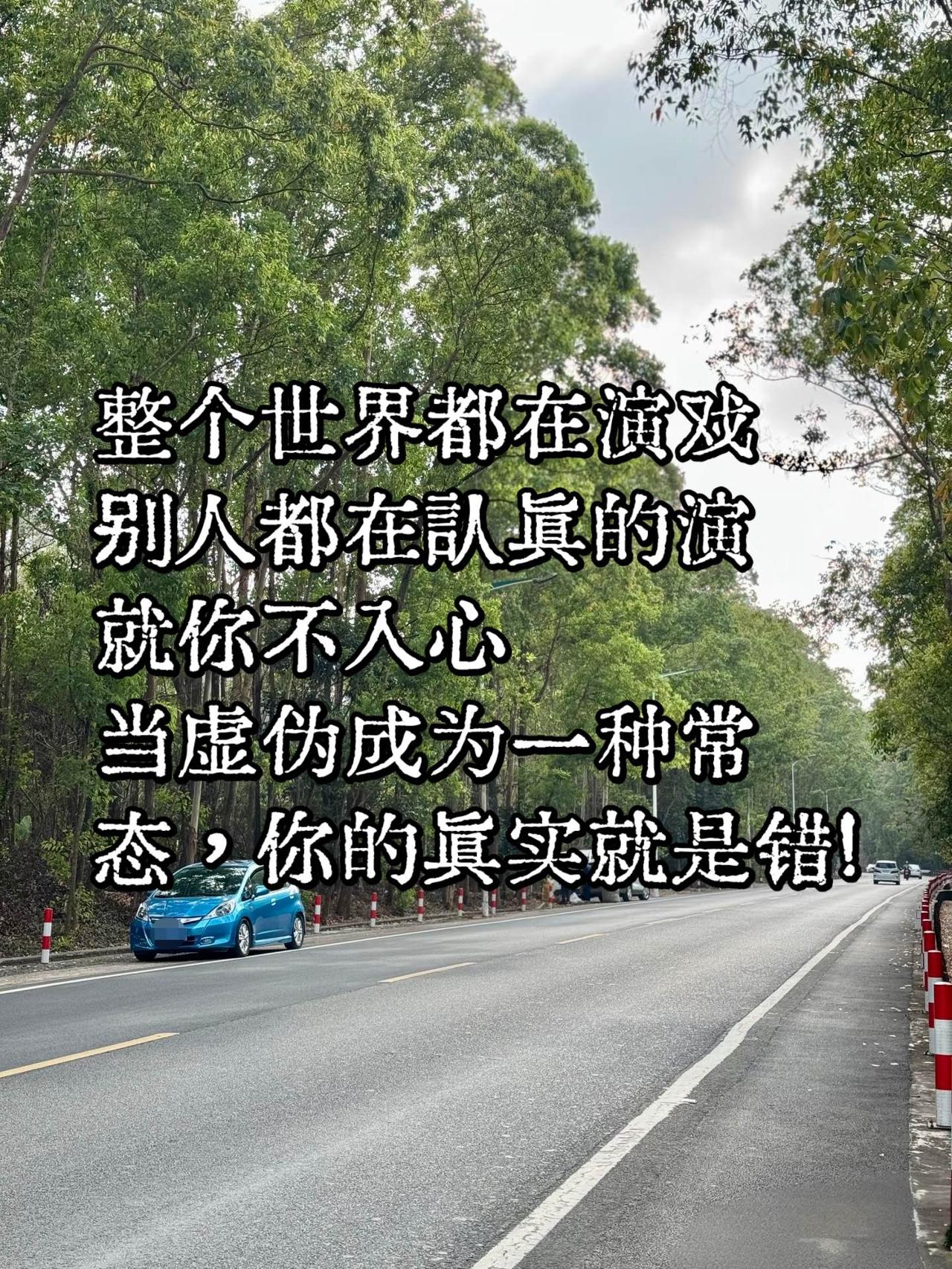 别人都在认真的演，就你不入心”，当虚伪成为一种常态，你的真实就是错!人生感悟 演