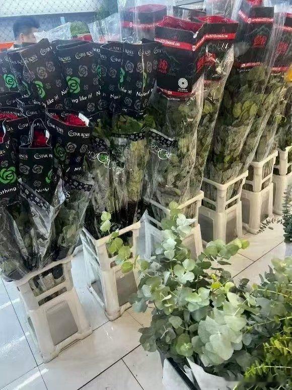 南美厄瓜多尔玫瑰被京东包了 中方对厄瓜多尔鲜花进口关税由原来的5%~20%逐步降