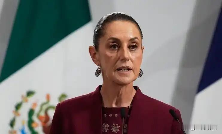 听信了老美的“忽悠”，
墨西哥这回算是交了一笔天价的学费。

为了讨好那个所谓的