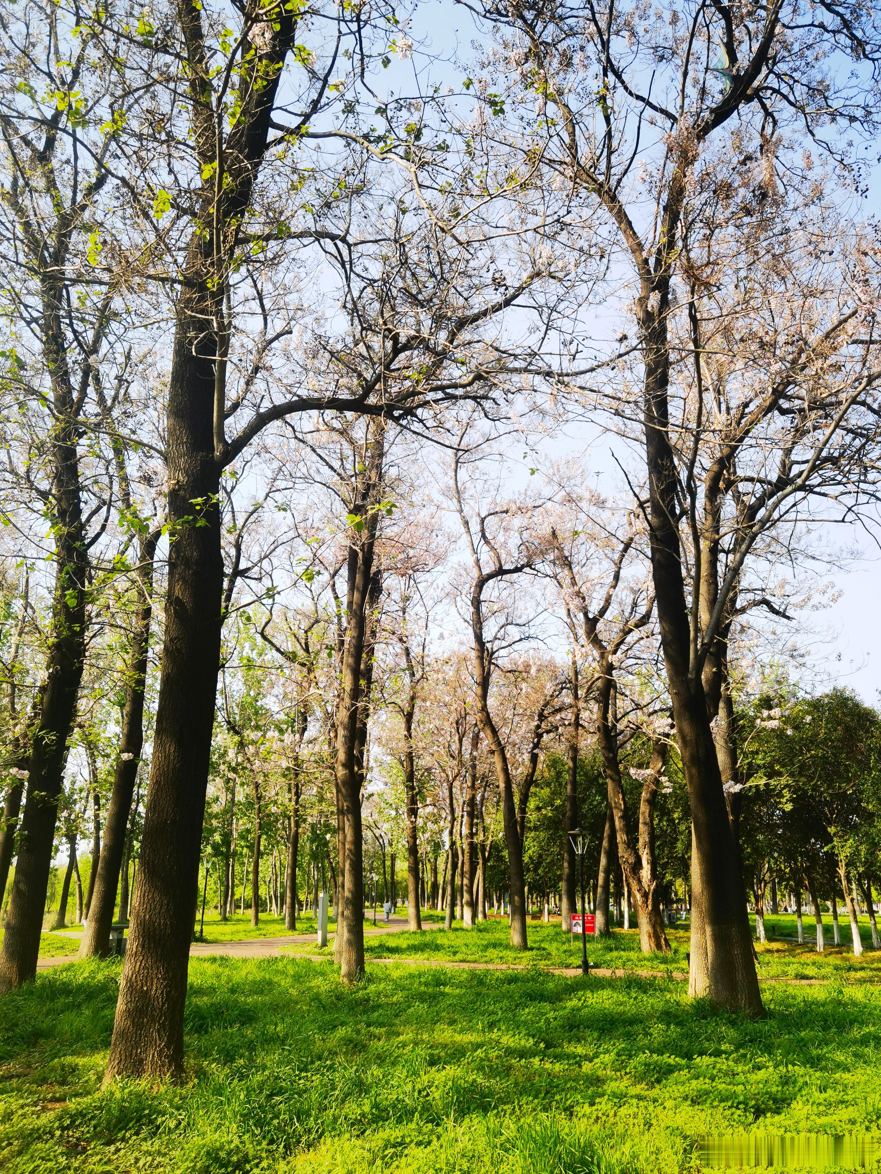 特朗普称22日前无协议或重燃战火A股还没兑现昨天霍尔木兹海峡通航的利好，又威胁打