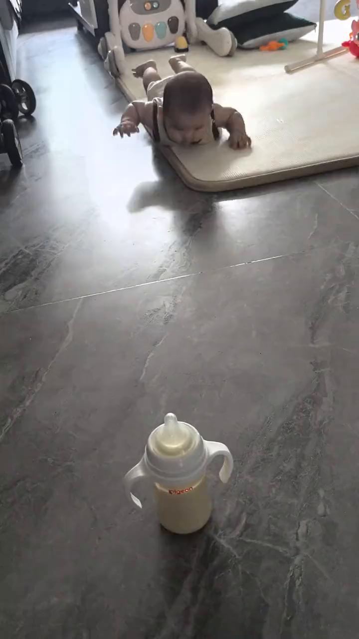 是关中王来了。