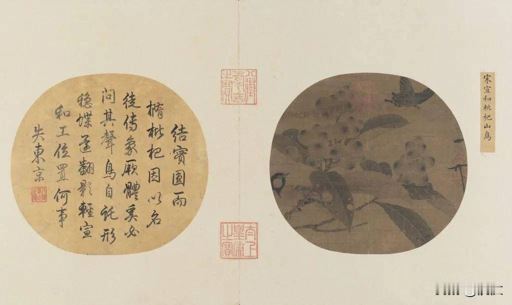 《枇杷山鸟图》，宋徽宗，北京故宫博物院藏。

那么多人画过枇杷，基本都是设色。就