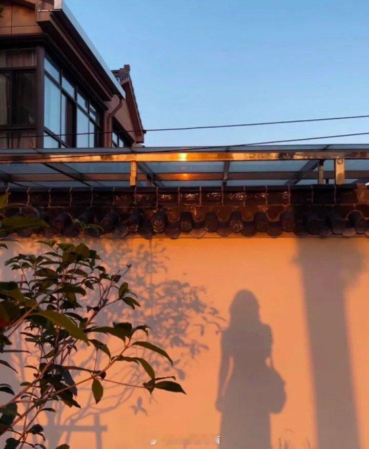 感觉快乐就忙东忙西，感觉累了就放空自己，喜欢自己比喜欢这个世界更重要，一定要多夸