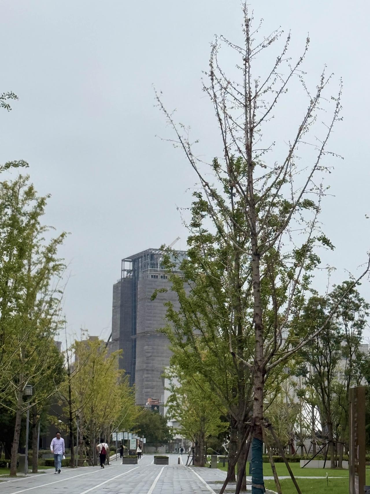 我的日常生活—免费体检
今天上午去普陀妇婴医院，参加居委会一年一度的免费妇科两病