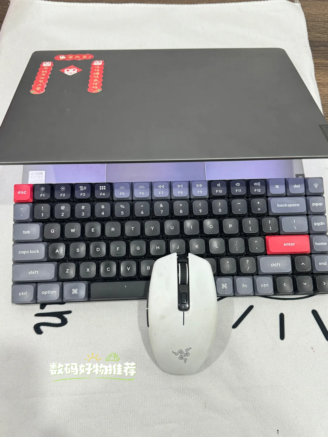 谁懂啊!数码好物直接封神