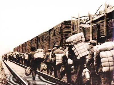 1979年，有20000名以上的基建工程兵集体转业被调入深圳。当时深圳还是一个大