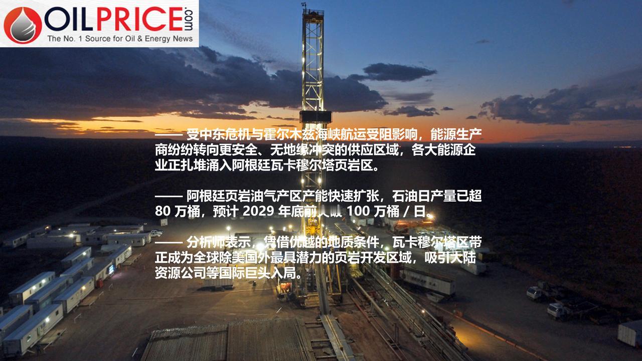 阿根廷开展新一轮对外招标，大型石油企业争相布局瓦卡穆尔塔页岩区带



受中东局
