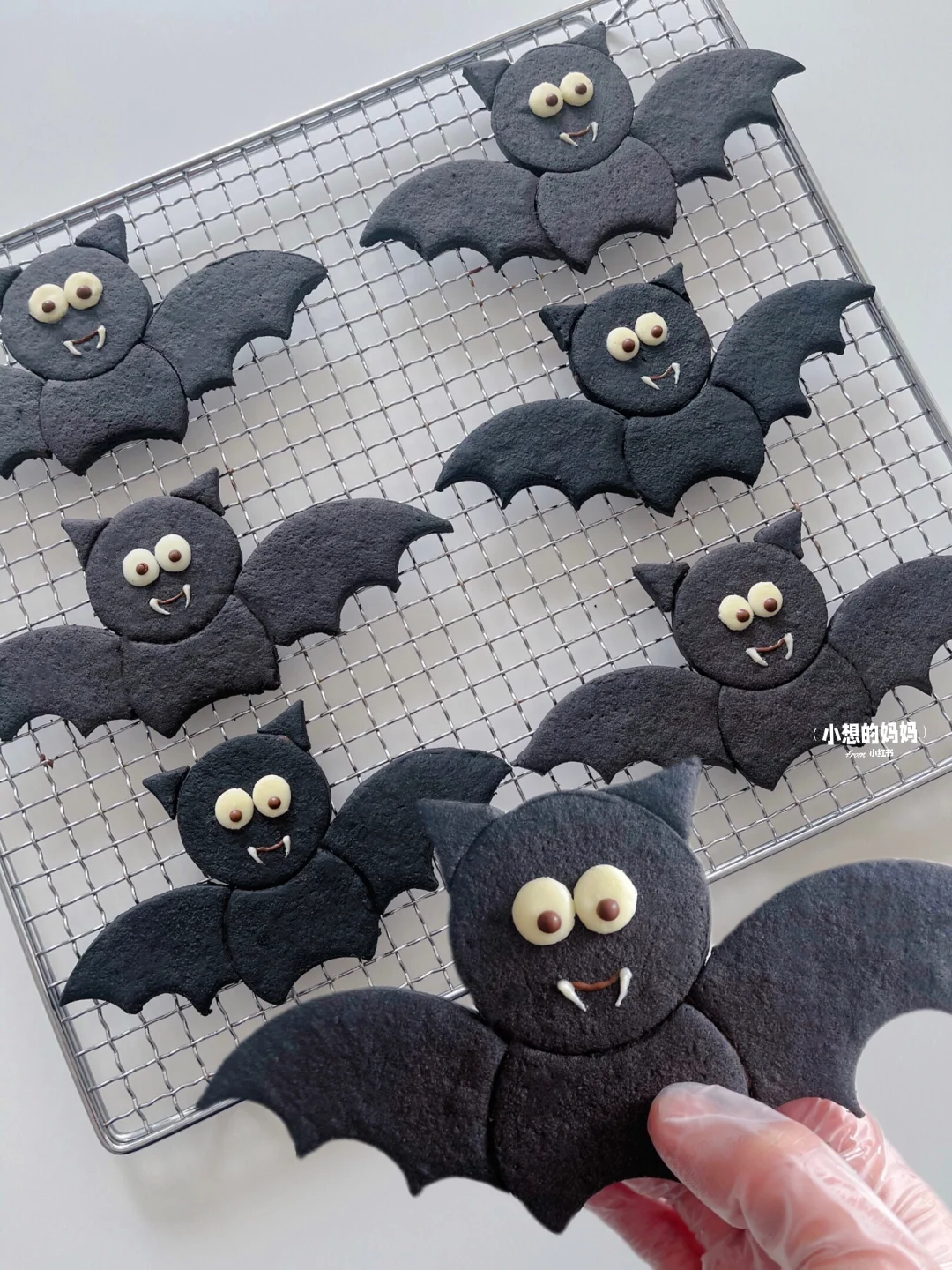 万圣节限定🦇蝙蝠曲奇饼干🦇0失败附教程～