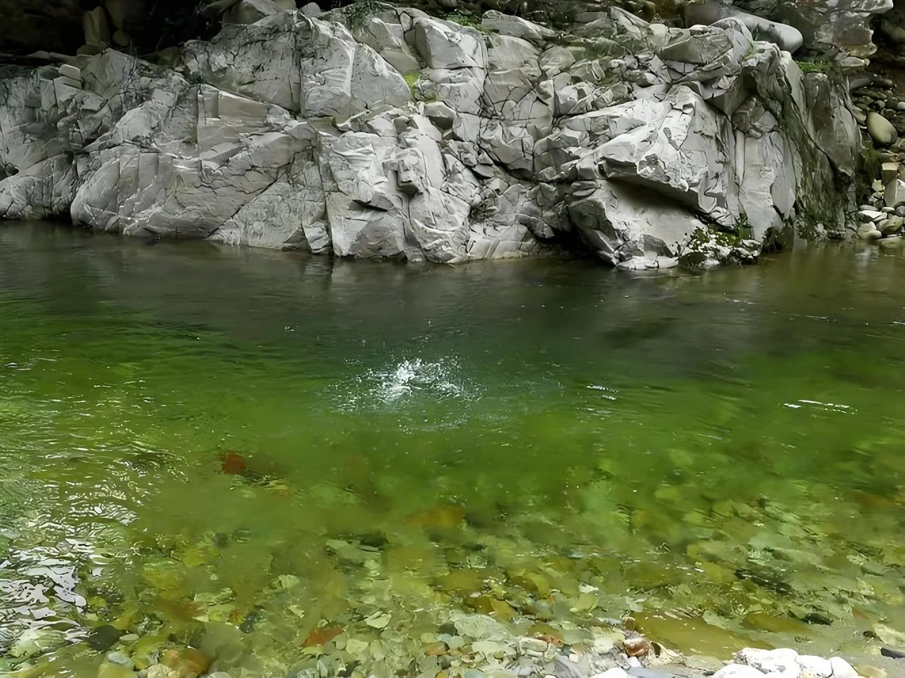 #上联：浅浅深深河中水，有请下联#朝朝暮暮江上人。